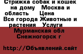 Стрижка собак и кошек на дому.  Москва и область.  › Цена ­ 1 200 - Все города Животные и растения » Услуги   . Мурманская обл.,Снежногорск г.